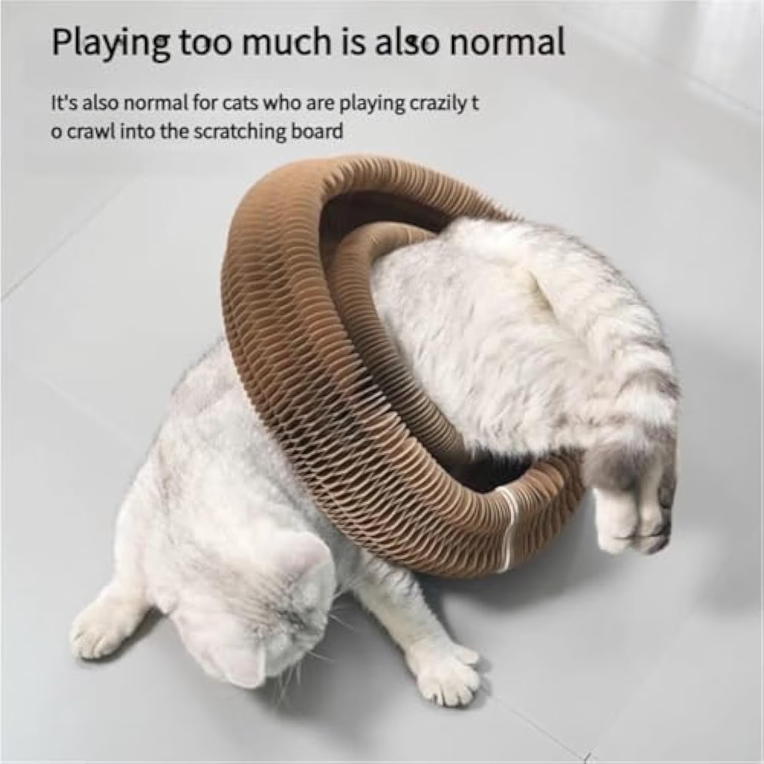 Kitty Cat Kurlz Toy, Marlene Kitty Cat Kurlz, Kitty Curlz Cat Toy, Marlene'S Pet Store Kitty Cat Kurlz, Magic Cat Toy, Foldable Accordion Cat Toy, Recyclable Cat Scratcher with Ball