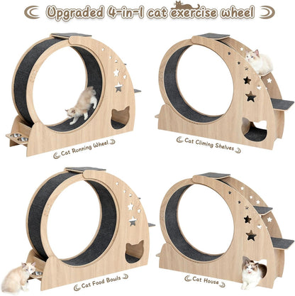 5-In-1 Cat Wheel,Cat Exercise Wheel,41.3" High Large Cat Wheels for Indoor Cats,Cat Treadmill Running Wheel for Indoor Cats with Silent Wheel,Cute Furniture Toys