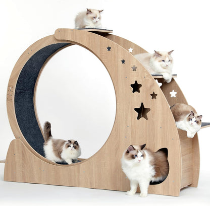 5-In-1 Cat Wheel,Cat Exercise Wheel,41.3" High Large Cat Wheels for Indoor Cats,Cat Treadmill Running Wheel for Indoor Cats with Silent Wheel,Cute Furniture Toys