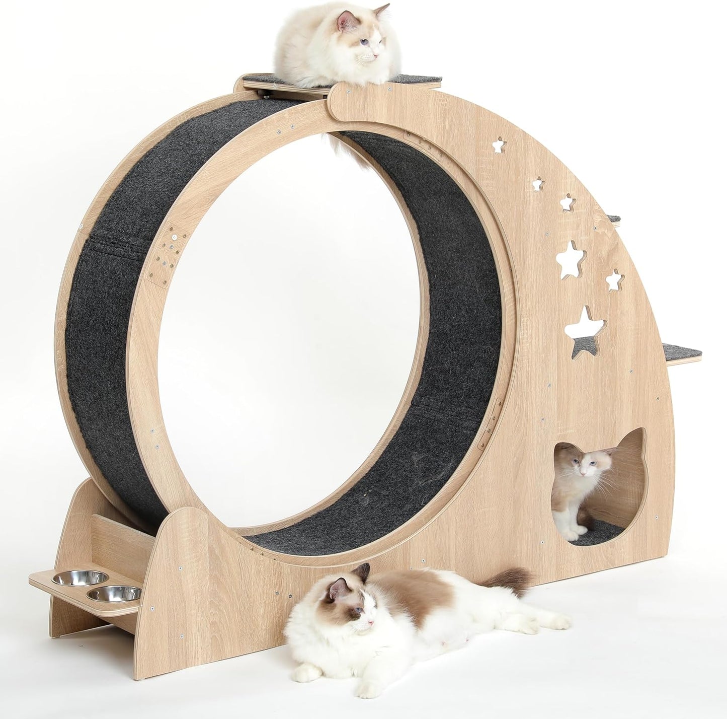 5-In-1 Cat Wheel,Cat Exercise Wheel,41.3" High Large Cat Wheels for Indoor Cats,Cat Treadmill Running Wheel for Indoor Cats with Silent Wheel,Cute Furniture Toys