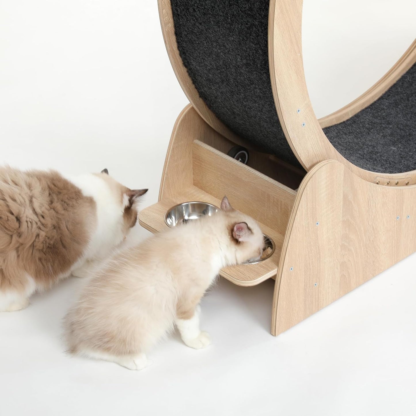 5-In-1 Cat Wheel,Cat Exercise Wheel,41.3" High Large Cat Wheels for Indoor Cats,Cat Treadmill Running Wheel for Indoor Cats with Silent Wheel,Cute Furniture Toys